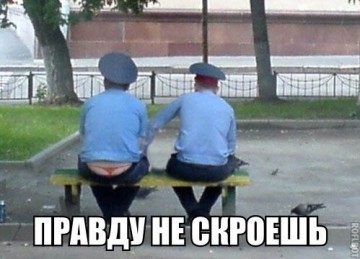 Смех в картинках 2