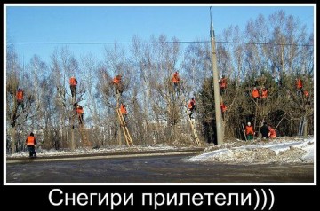 Смех в картинках 2