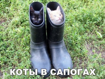Смех в картинках 2