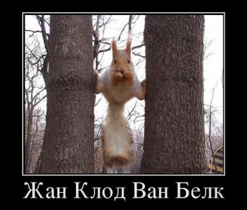 Смех в картинках 2