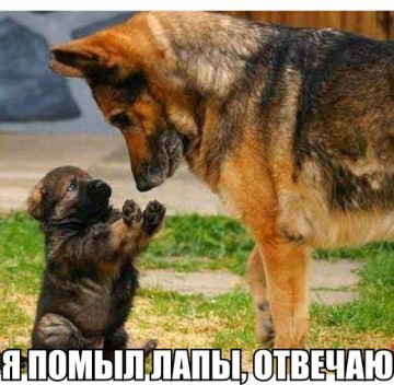 Смех в картинках 2