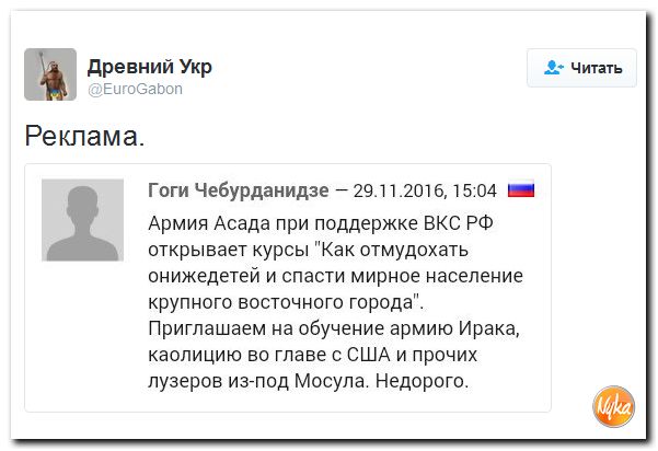 "Мыздобулы" в картинках. Смешных и не очень... 30-11-2016
