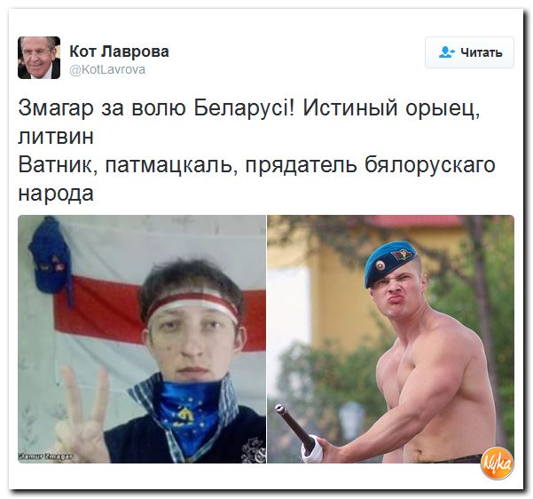 "Мыздобулы" в картинках. Смешных и не очень... 30-11-2016