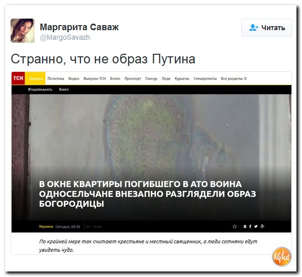 "Мыздобулы" в картинках. Смешных и не очень... 30-11-2016