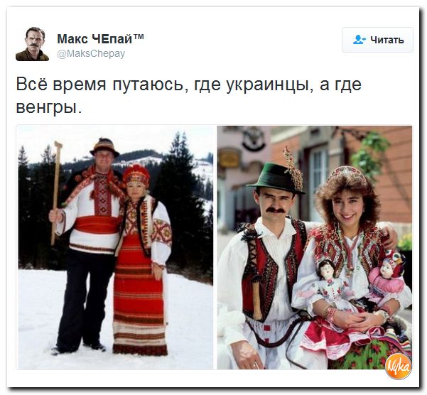 "Мыздобулы" в картинках. Смешных и не очень... 30-11-2016