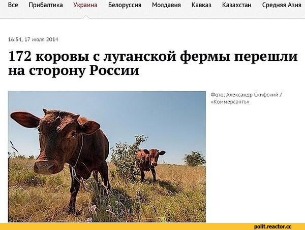 Почему у украинцев зачастую противоречивое мышление Почему у украинцев зачастую противоречивое мышление