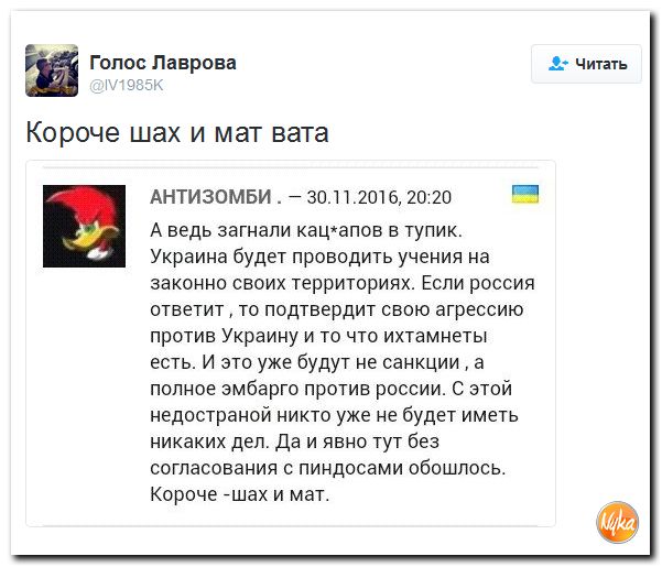"Мыздобулы" в картинках. Смешных и не очень... 1-12-2016