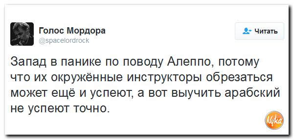 "Мыздобулы" в картинках. Смешных и не очень... 1-12-2016