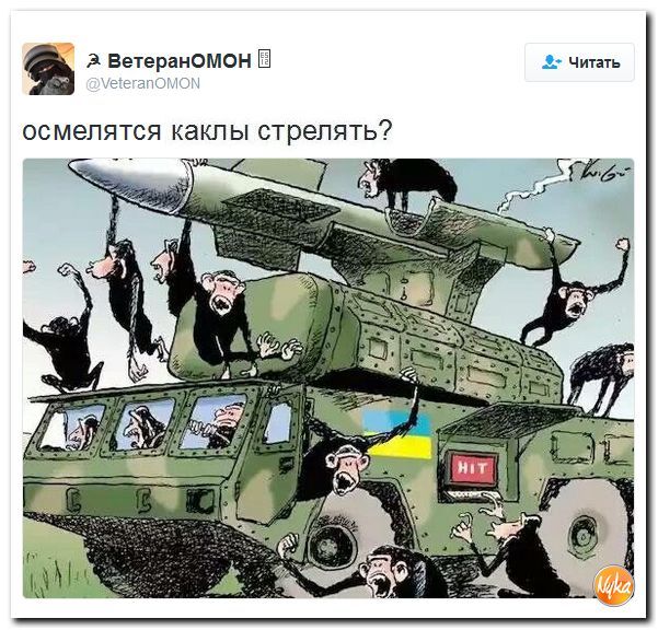 "Мыздобулы" в картинках. Смешных и не очень... 1-12-2016