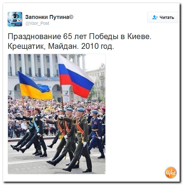 "Мыздобулы" в картинках. Смешных и не очень... 1-12-2016