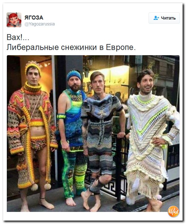 "Мыздобулы" в картинках. Смешных и не очень... 1-12-2016