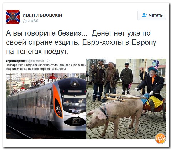 "Мыздобулы" в картинках. Смешных и не очень... 1-12-2016