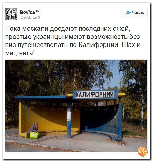 "Мыздобулы" в картинках. Смешных и не очень... 1-12-2016