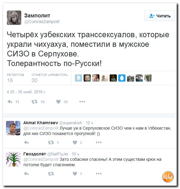 "Мыздобулы" в картинках. Смешных и не очень... 1-12-2016