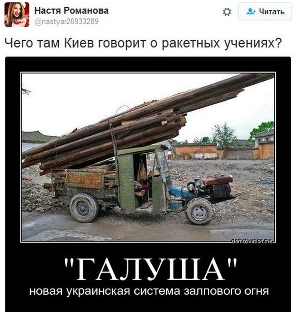 "Мыздобулы" в картинках. Смешных и не очень... 1-12-2016