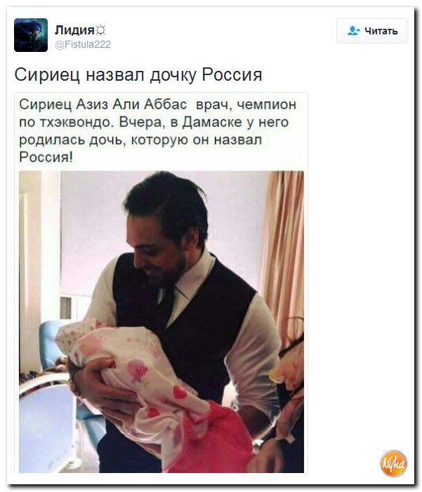 "Мыздобулы" в картинках. Смешных и не очень... 1-12-2016
