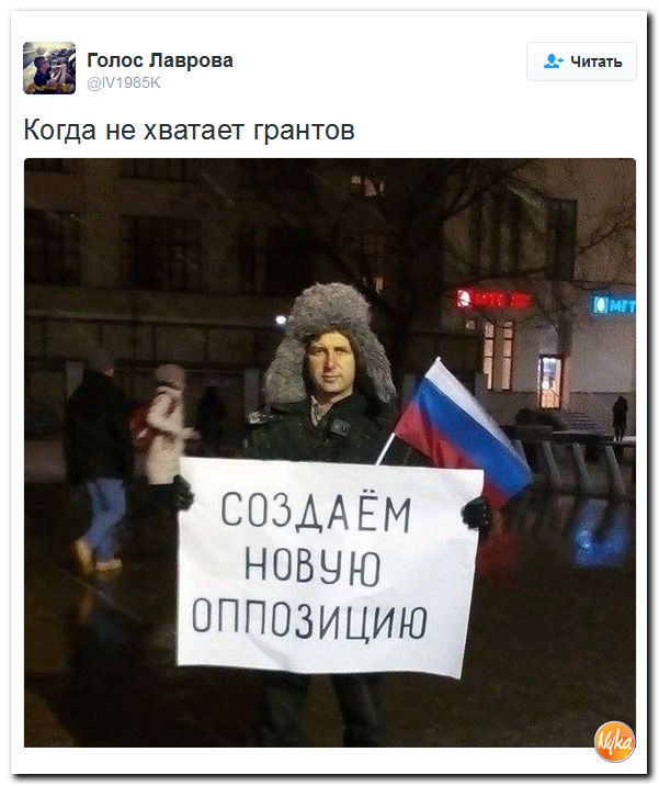 "Мыздобулы" в картинках. Смешных и не очень... 1-12-2016