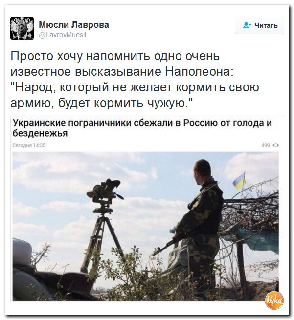 "Мыздобулы" в картинках. Смешных и не очень... 1-12-2016