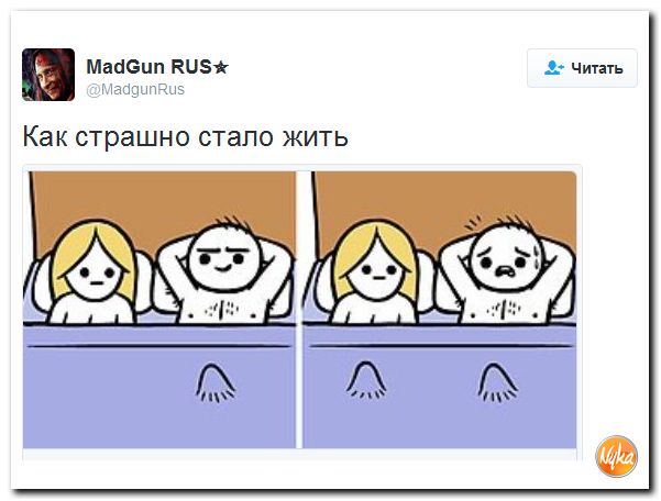 "Мыздобулы" в картинках. Смешных и не очень... 1-12-2016