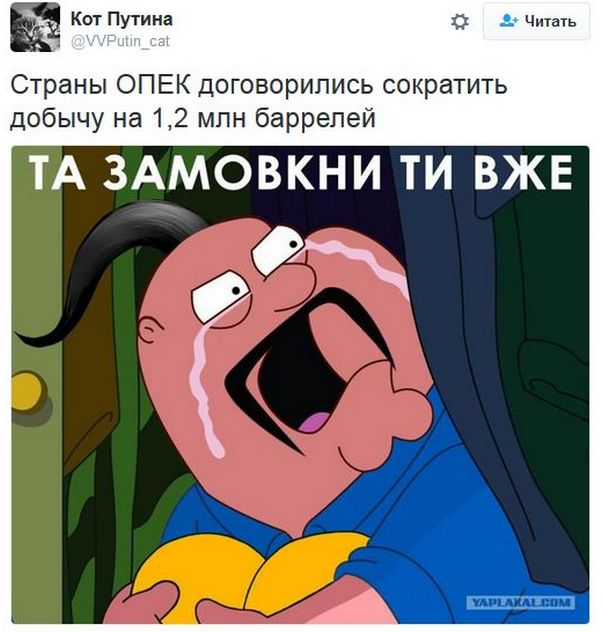 "Мыздобулы" в картинках. Смешных и не очень... 1-12-2016