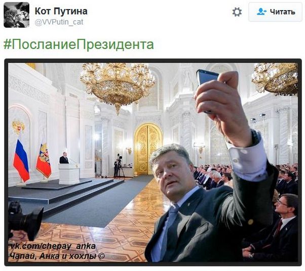 "Мыздобулы" в картинках. Смешных и не очень... 1-12-2016