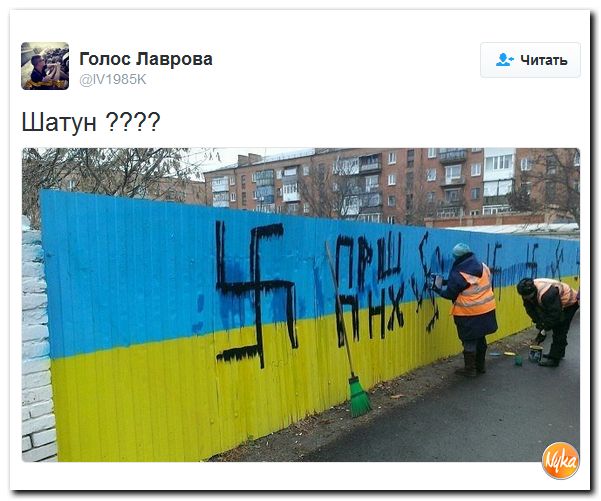 "Мыздобулы" в картинках. Смешных и не очень... 1-12-2016
