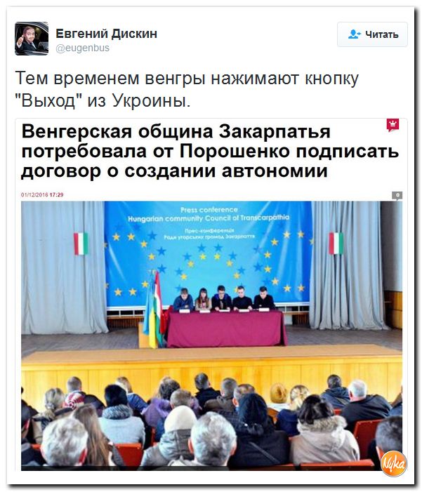 "Мыздобулы" в картинках. Смешных и не очень... 3-12-2016