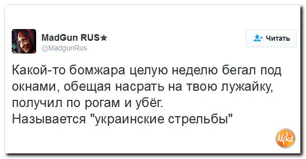 "Мыздобулы" в картинках. Смешных и не очень... 3-12-2016