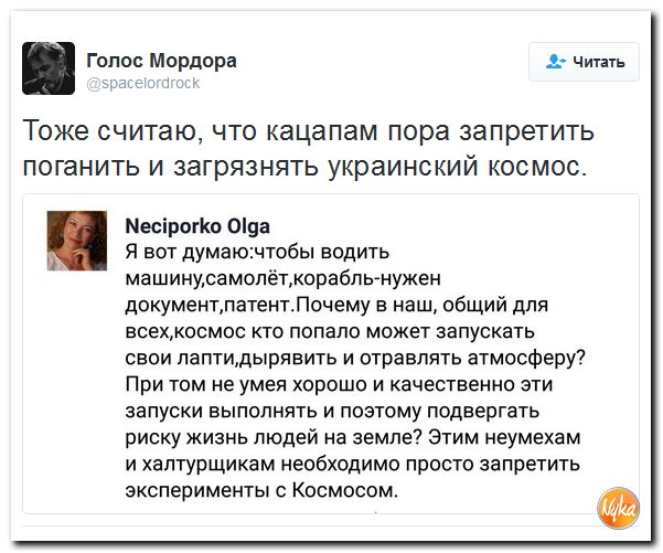 "Мыздобулы" в картинках. Смешных и не очень... 3-12-2016