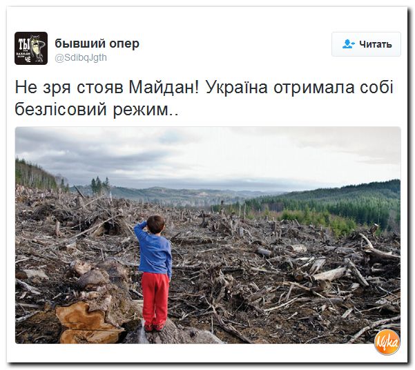 "Мыздобулы" в картинках. Смешных и не очень... 3-12-2016