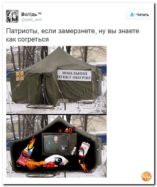 "Мыздобулы" в картинках. Смешных и не очень... 3-12-2016