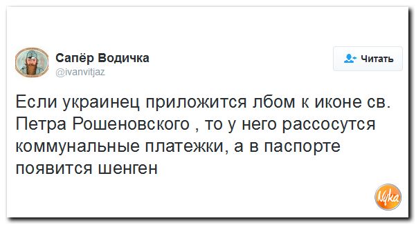 "Мыздобулы" в картинках. Смешных и не очень... 3-12-2016