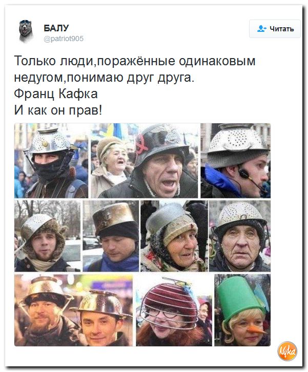 "Мыздобулы" в картинках. Смешных и не очень... 3-12-2016