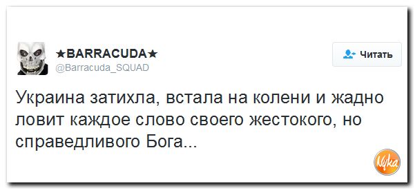 "Мыздобулы" в картинках. Смешных и не очень... 3-12-2016