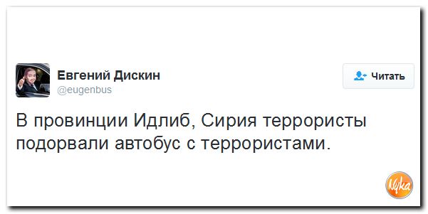 "Мыздобулы" в картинках. Смешных и не очень... 3-12-2016