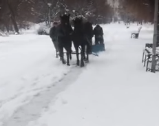 Львовское хав-ноу или возвращение к истокам - уборка снега на конной тяге