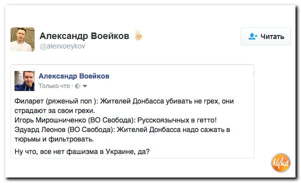 "Мыздобулы" в картинках. Смешных и не очень... 4-12-2016