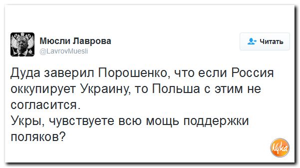 "Мыздобулы" в картинках. Смешных и не очень... 4-12-2016