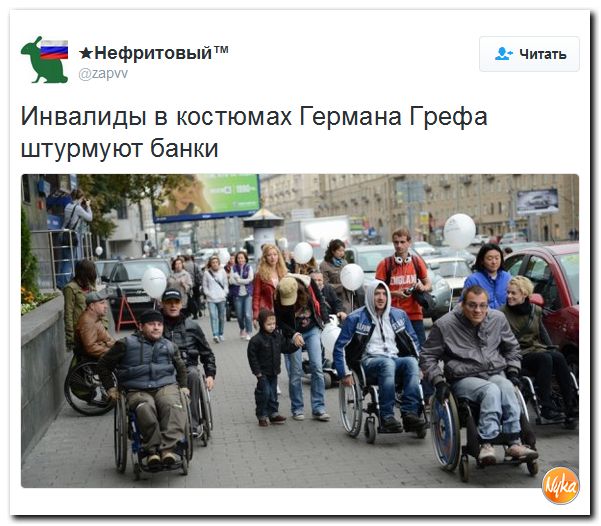 "Мыздобулы" в картинках. Смешных и не очень... 4-12-2016