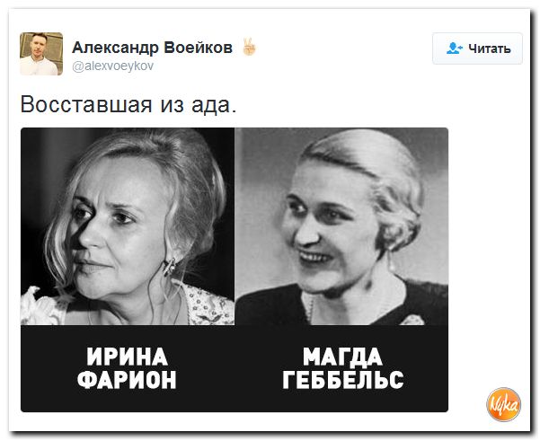 "Мыздобулы" в картинках. Смешных и не очень... 4-12-2016