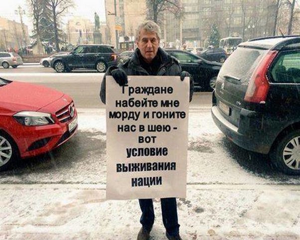 "Мыздобулы" в картинках. Смешных и не очень... 4-12-2016