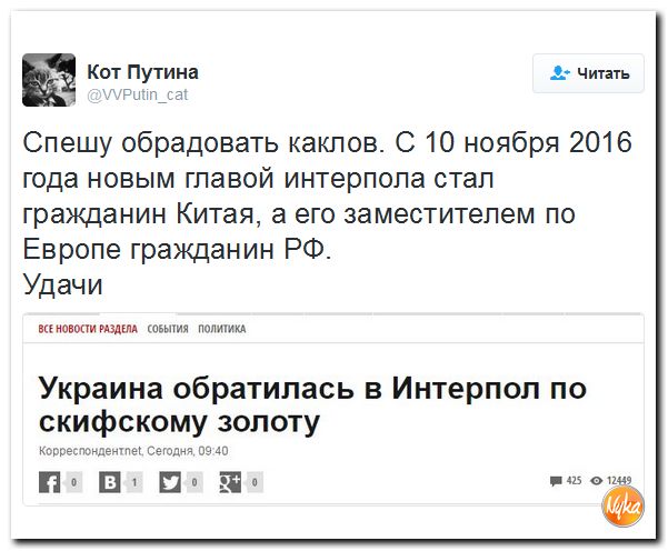 "Мыздобулы" в картинках. Смешных и не очень... 4-12-2016