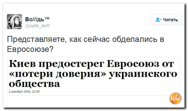 "Мыздобулы" в картинках. Смешных и не очень... 4-12-2016