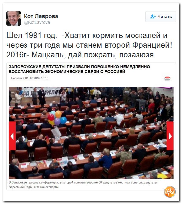 "Мыздобулы" в картинках. Смешных и не очень... 4-12-2016