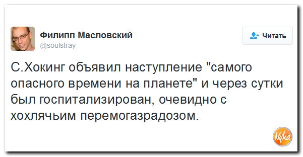 "Мыздобулы" в картинках. Смешных и не очень... 4-12-2016