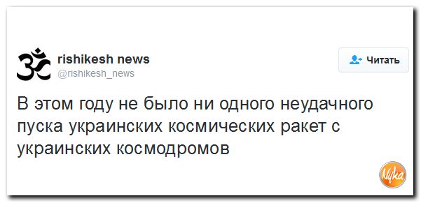 "Мыздобулы" в картинках. Смешных и не очень... 4-12-2016