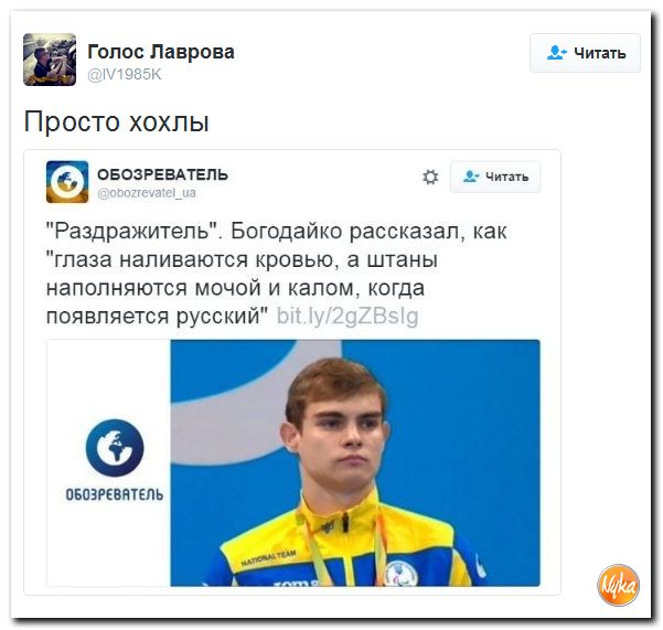 "Мыздобулы" в картинках. Смешных и не очень... 4-12-2016