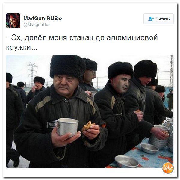 "Мыздобулы" в картинках. Смешных и не очень... 4-12-2016