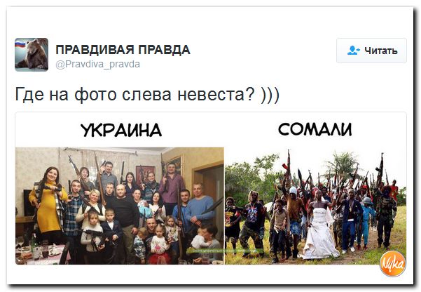 "Мыздобулы" в картинках. Смешных и не очень... 4-12-2016