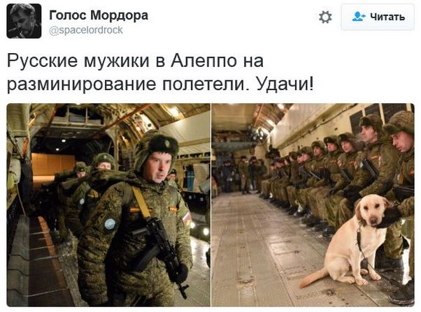 "Мыздобулы" в картинках. Смешных и не очень... 4-12-2016
